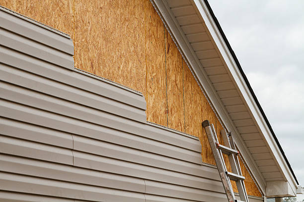 Professional Siding Inspection technician working in Carson, VA